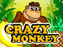 Crazy Monkey